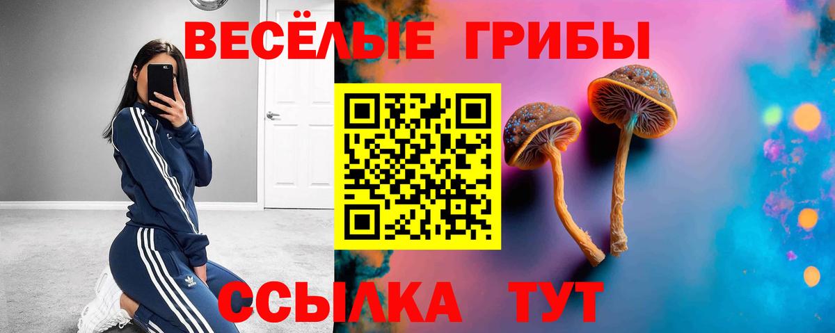 Галлюциногенные грибы Psilocybine cubensis  Вход с VPN  даркнет сайт  Воркута  Галлюциногенные грибы Psilocybine cubensis 